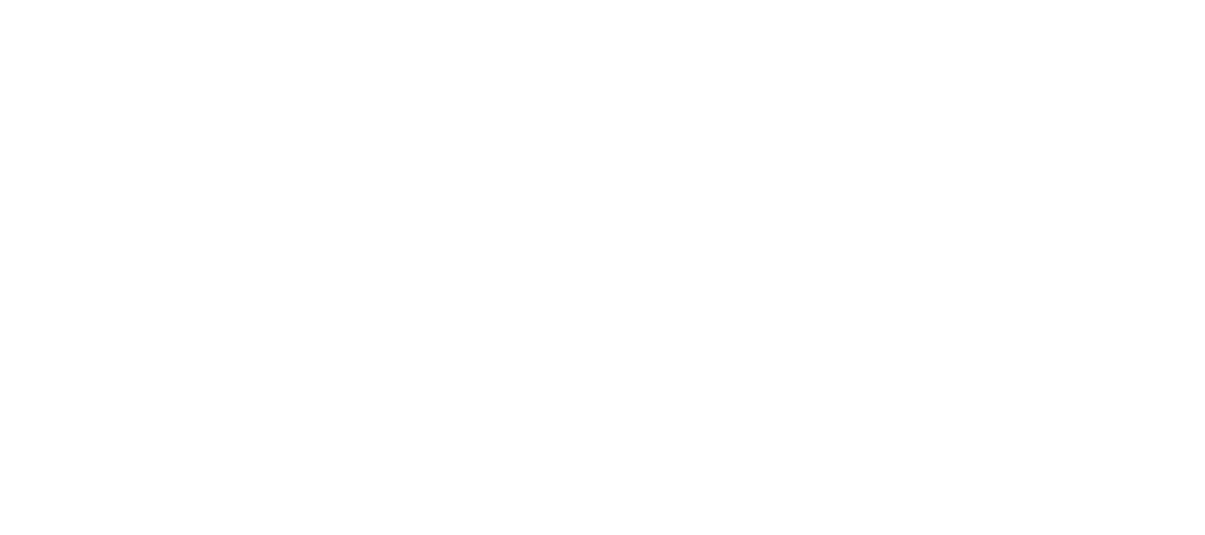 logo maxmech blanco